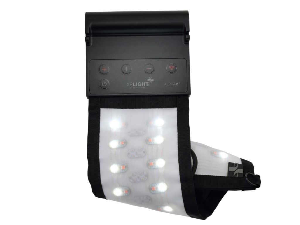 XP ALPHA 2⁺ control module with flexible white LED strip on a white background